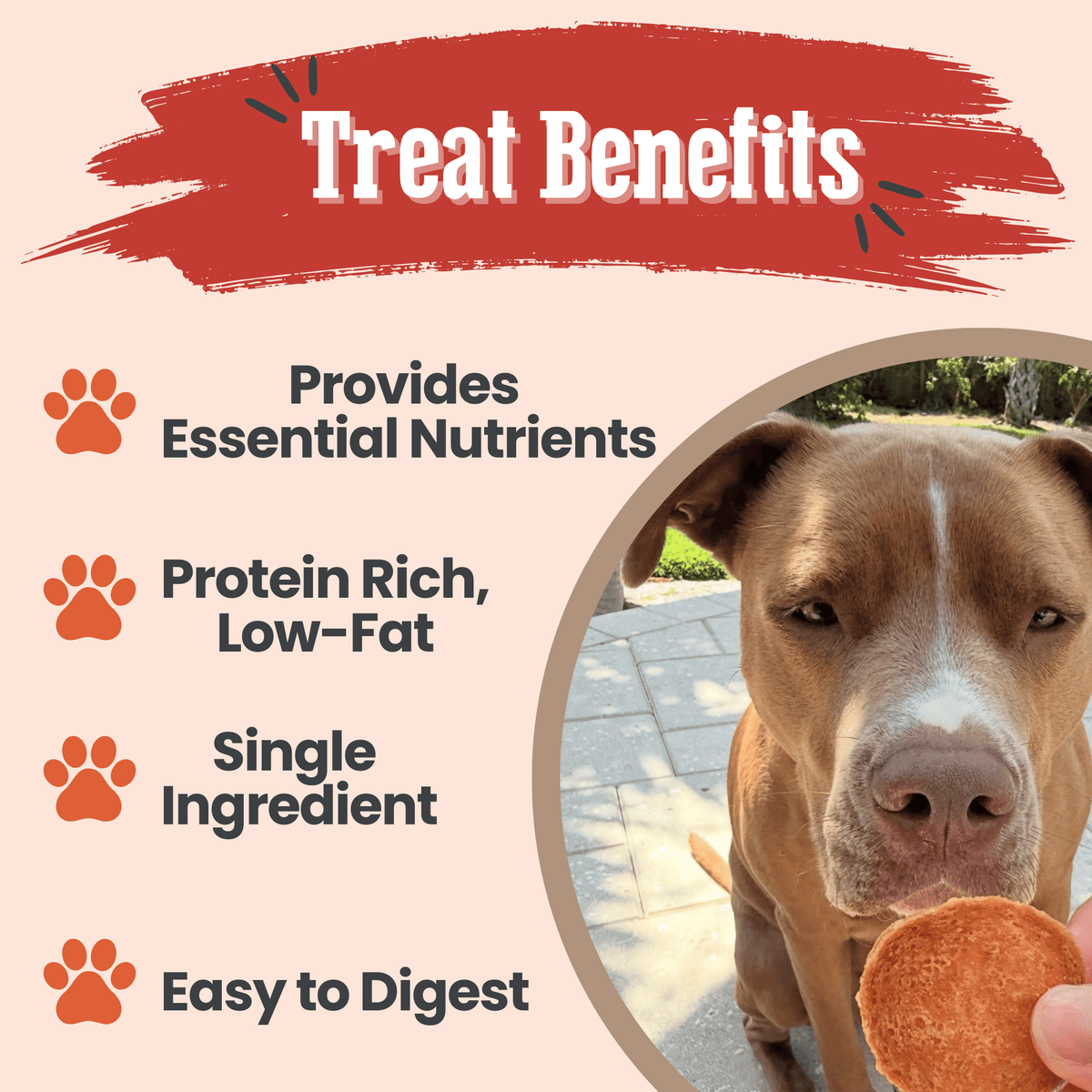 Turkey Chips for Dogs | All-Natural Single-Ingredient Healthy Dog Treats